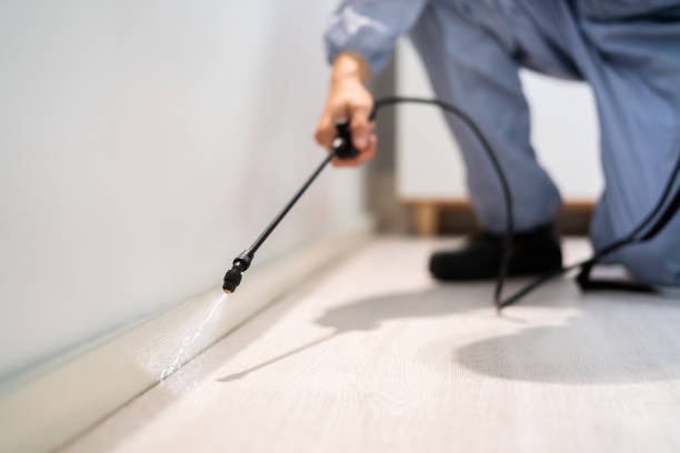 Licensed Fumigation Services service in Warrenton, VA - Nex Pest Control