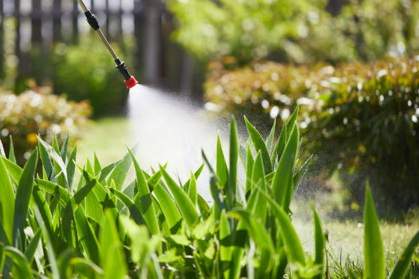 24/7 Emergency Fumigation Services experts in Warrenton, VA